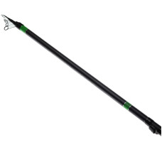 LANSETA BOLOGNEZA PRO FL MASTER ELITE 6.00M 5-30g